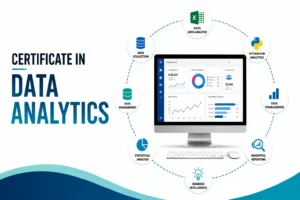 Certificate in Data Analytics