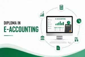 Diploma in E-Accounting
